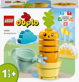 10981 Duplo Mijn Eerste Wortel Bouwset