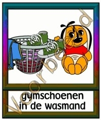 Gymschoenen in de wasmand - TK