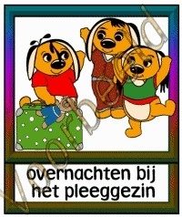 Overnachten bij het pleeggezin - ZorgH