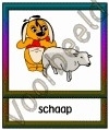 Schaap - DIE