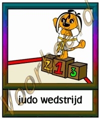 Judo wedstrijd