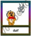 Duif - DIE