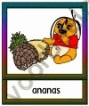 Ananas - ETDR