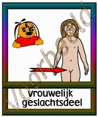 Vrouwelijk geslachtsdeel