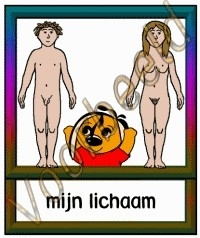 Mijn lichaam