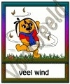 Veel wind - WR