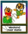 Weekend naar mama - FAMVR