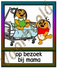 Op bezoek bij mama - ZorgH