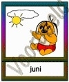 Juni