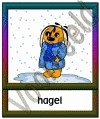 Hagel - WR