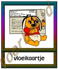 Vloeikaartje - VERZ