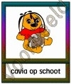 Cavia op schoot - DIE