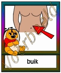 Buik