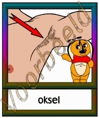 Oksel