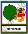 Berkenblad