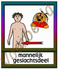 Mannelijk geslachtsdeel