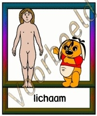 Lichaam