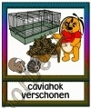 Caviahok verschonen - DIE