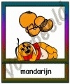 Mandarijn - ETDR