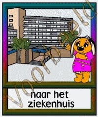 Naar het ziekenhuis 2 - ZorgH