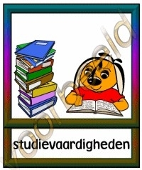 Studievaardigheden - SCHV