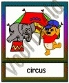 Circus