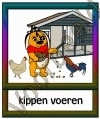 Kippen voeren - DIE