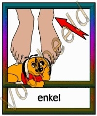 Enkel