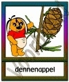 Dennenappel