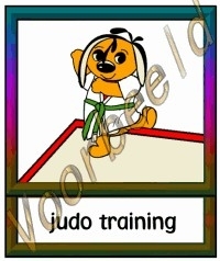 Judo training