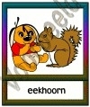 Eekhoorn