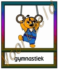 Gymnastiek