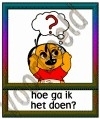 Hoe ga ik het doen? - FASE