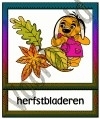 Herfstbladeren