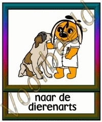 Naar de dierenarts - DIE