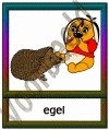 Egel