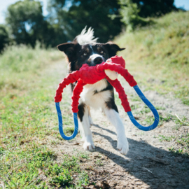 Hondenspeelgoed ZippyPaws RopeTugz – Koala of Aap