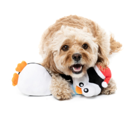 Kerst Hondenspeelgoed FuzzYard Finneck the Penguin