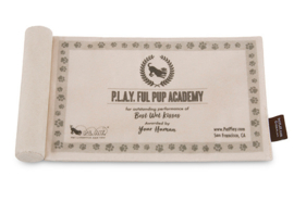 Hondenspeelgoed P.L.A.Y. Pet  Grad cap & Diploma toy