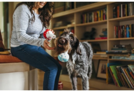 Hondenspeelgoed P.L.A.Y. Pet  Chemistry Set