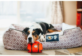 Hondenspeelgoed P.L.A.Y. Pet  Globetrotter Paspoort