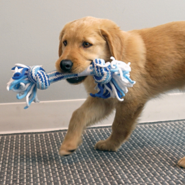 Kong Rope Stick Puppy