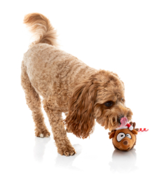 Kerst Hondenspeelgoed FuzzYard Run Away Reindeer