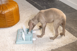 Hondenspeelgoed Beeztees Puppy Trainingsspel Riff - hondenpuzzel