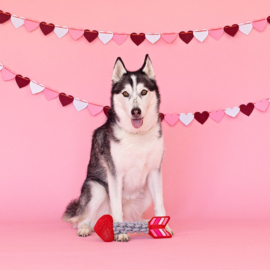 Valentijnsdag 14 februari