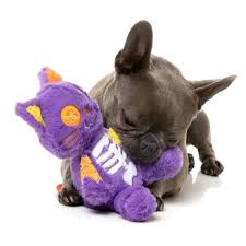 Hoe maak je Halloween leuk voor je hond?
