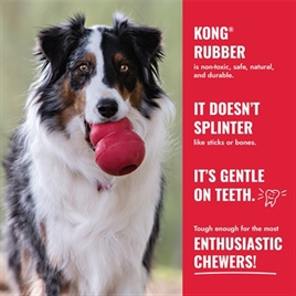 Kerst Hondenspeelgoed Kong Holiday Goodie Bone