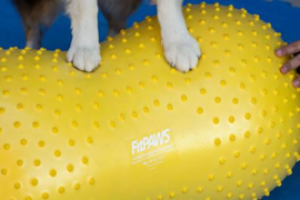 FitPAWS Pinda Geel 40cm trax