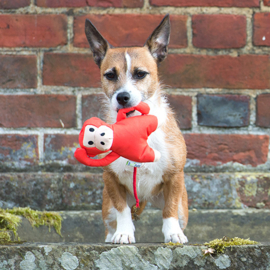 Hondenspeelgoed Beco Plush Toy - Aap