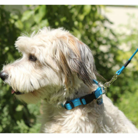 Rogz for Dogs Halsband met looplijn